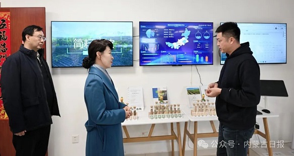王莉霞調研金融審計科技工作